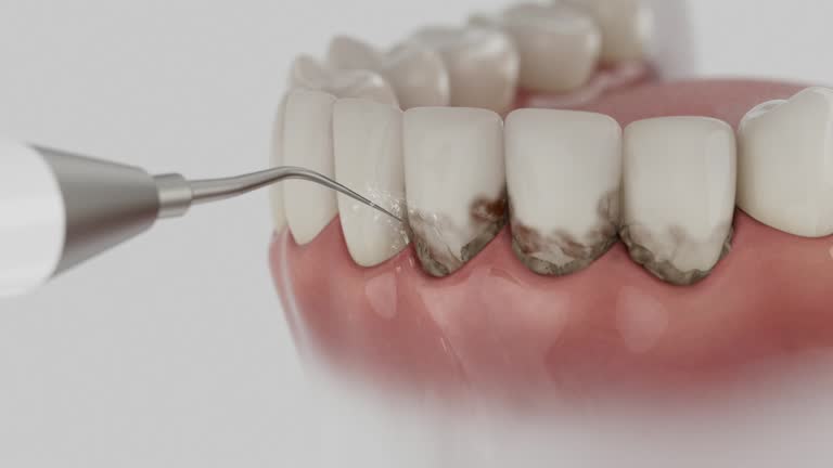 Reliable Dental contractor in Evangeline Parish County, LA by Dentist Open Now